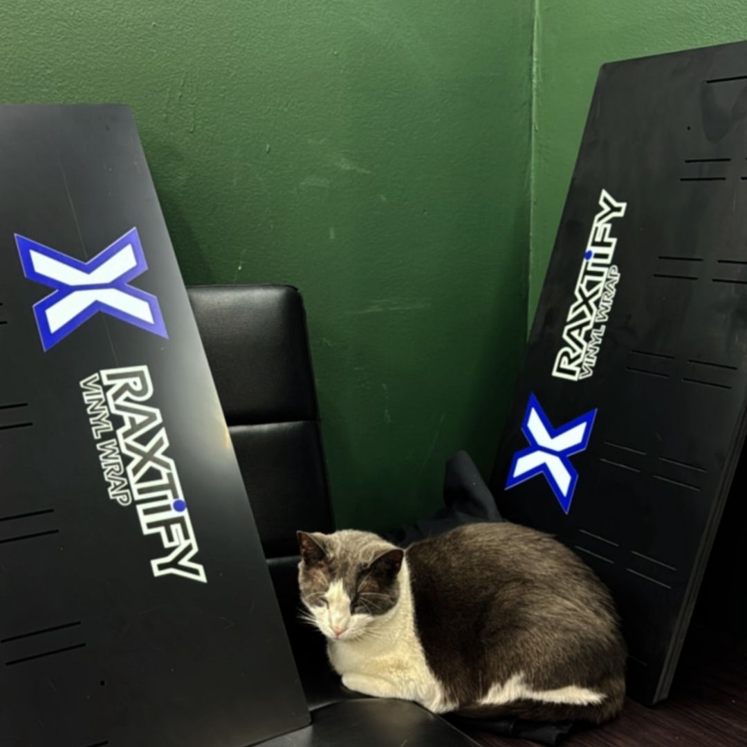 RAXTiFY Color Swatch Display Board RAXTiFY