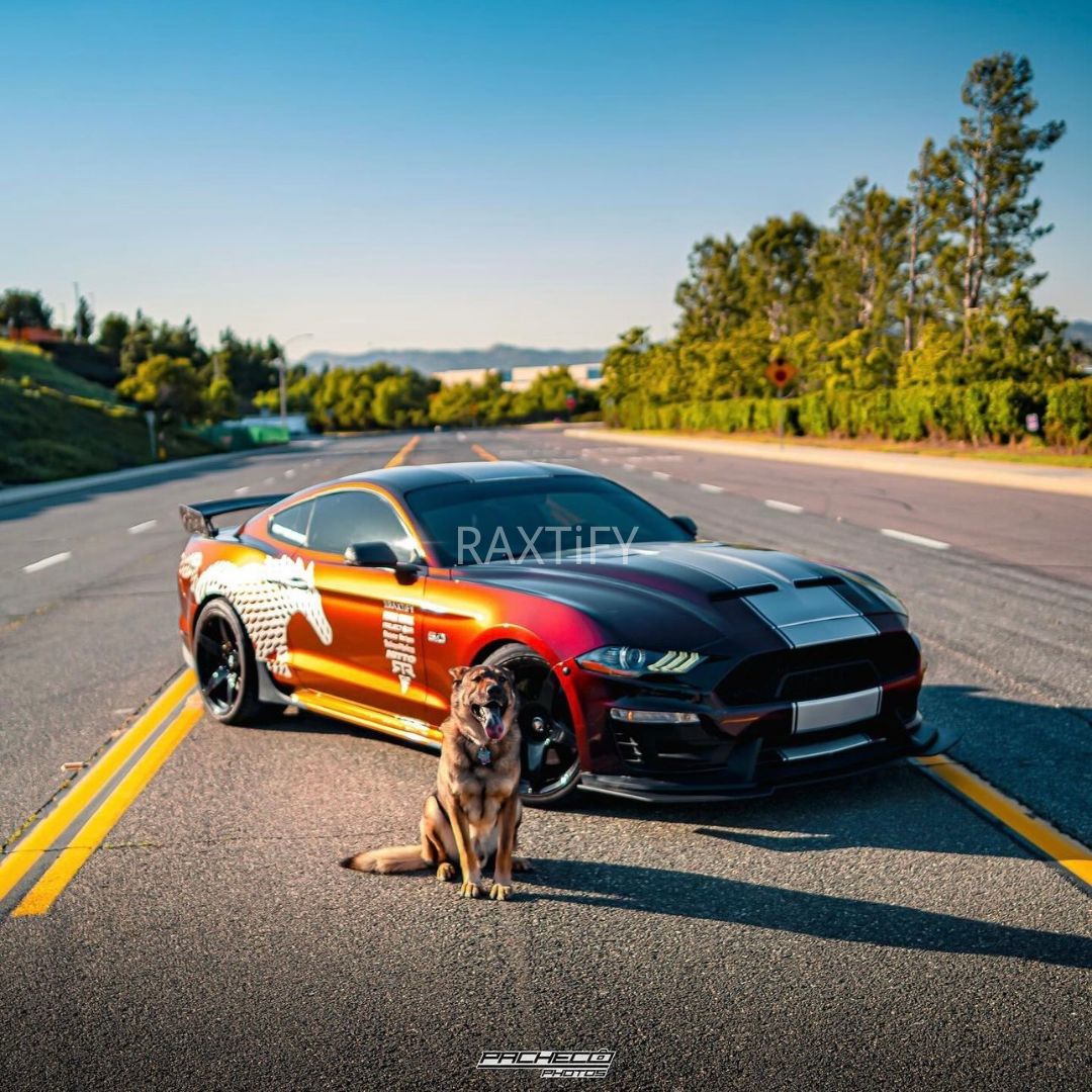 Color Shift Rainbow Drift Black Red Vinyl