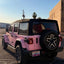 Gloss Baby Pink Vinyl Wrap Back design