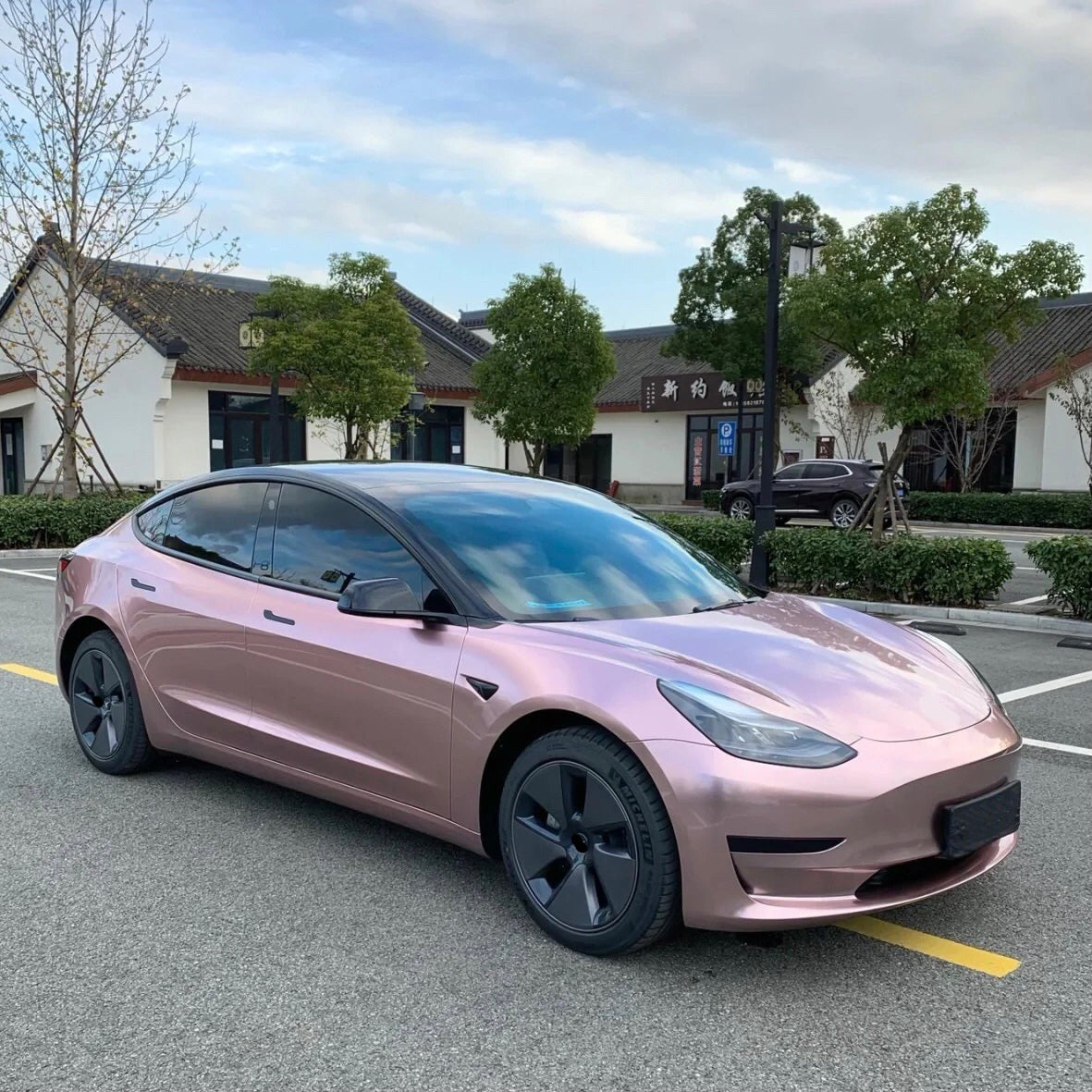 Gloss Metallic Frozen Berry Vinyl Wrap