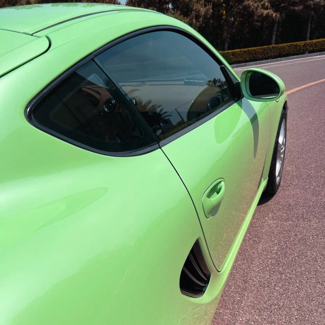 Gloss Metallic Light Green Vinyl Wrap Color