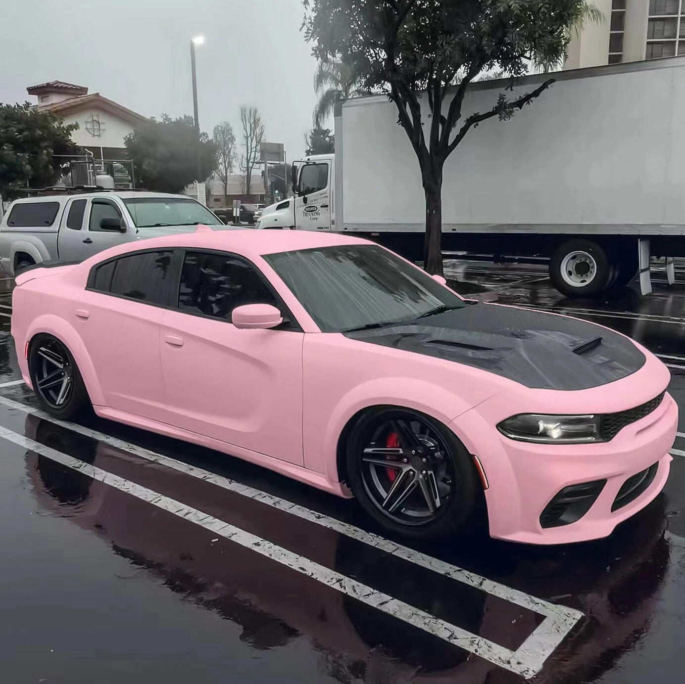 Matte Baby Pink Vinyl Wrap