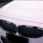 Satin Chrome Lolita Pink Car Wrap