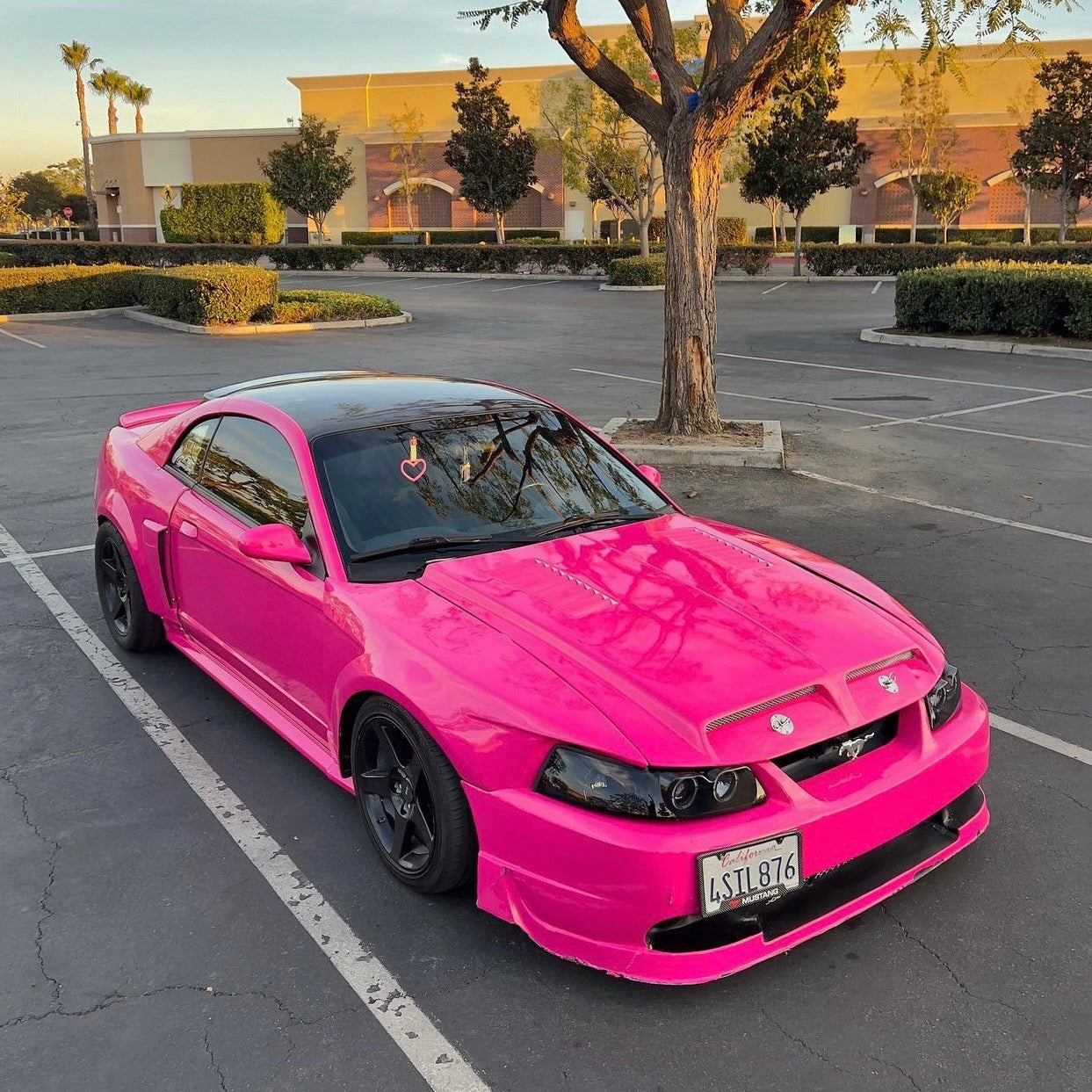 Gloss Rose Pink Vinyl Wrap by RAXTiFY 