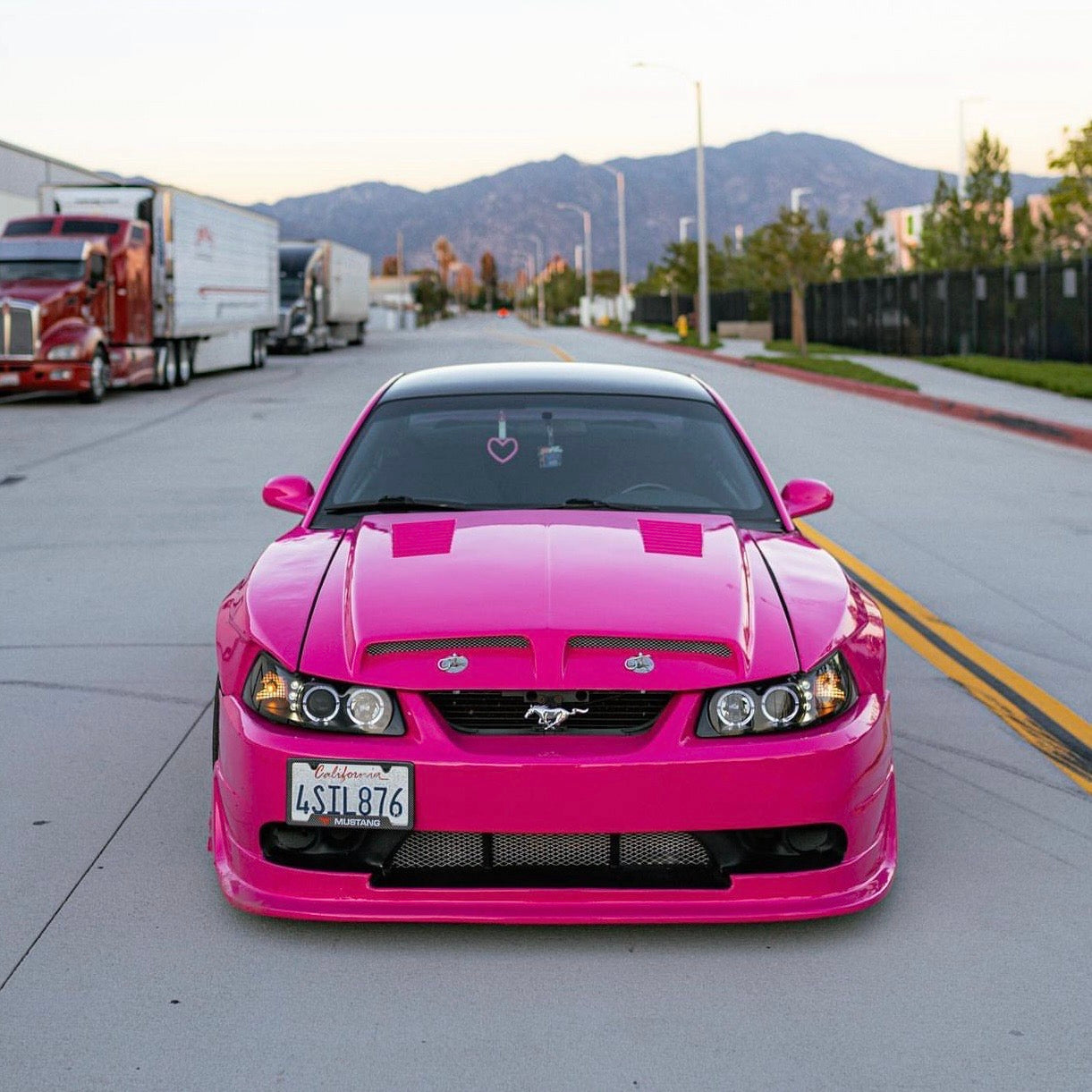Gloss Rose Pink Vinyl Wrap by RAXTiFY 