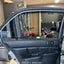 15% VLT Nano Ceramic Car Window Tint Film